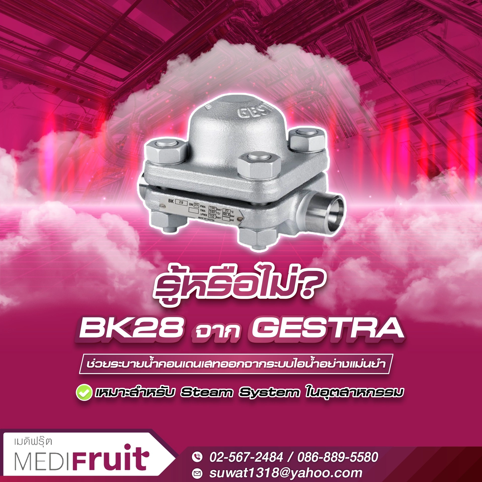 GESTRA Thailand โซลูชันกับดักไอน้ำและอุปกรณ์ตรวจสอบระบบไอน้ำสำหรับงานอุตสาหกรรม